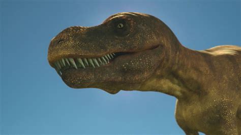 Australopithecus Andy 的图像结果