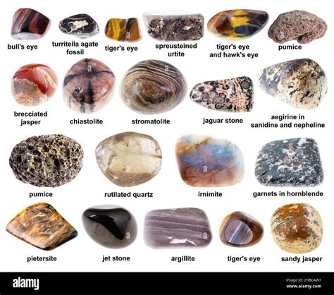 set of various tumbled brown rocks with names cutout on white ...