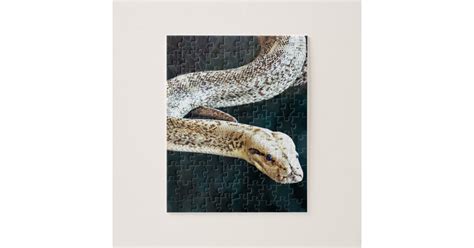 Image result for Python Snake Puzzle 60 PCs