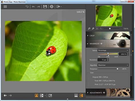 Image Upscaler | Top 15 Solutions to Upscale Images 2021