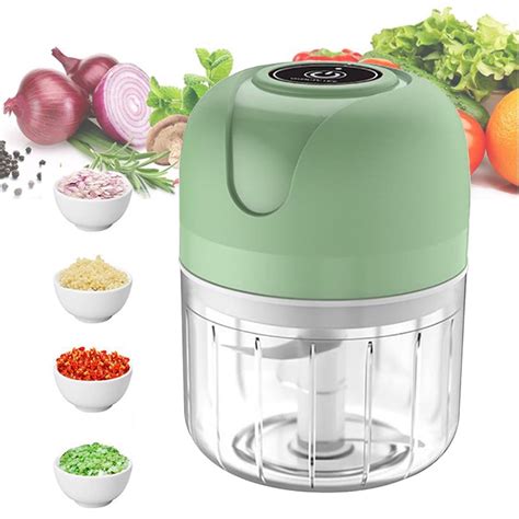 BN-LINK Electric Mini Garlic Chopper, 250ML Food Processor, USB ...