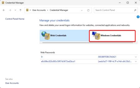 Image result for Windows Credentials Generic Credentials