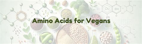 Amino acids for vegans: Do you need supplements? – NAKPRO NUTRITION