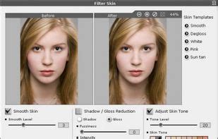 Image result for Skin Reloader Software