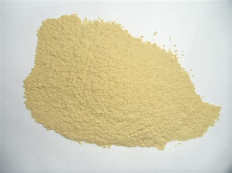 厂家供应 白色竹粉 优质竹粉 广西竹粉批发-阿里巴巴