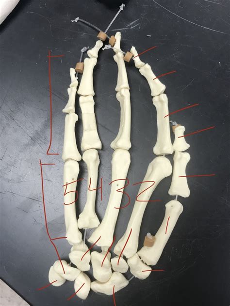 Image result for Hand Labeling