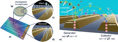CMOS Electronic DNA Replication 的图像结果