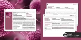 KS3 Reproduction Unit Overview Bundle | Science | Beyond