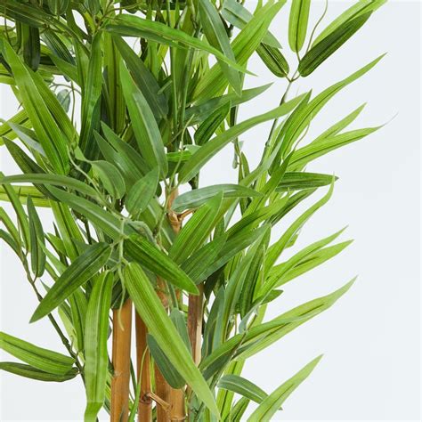 Buy Gardenia Bamboo Artificial Plant in Pot from Home Centre at just ...