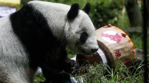 13 de junio de 2025, fecha del Sorteo 42 de Siembra Cultural| Telediario México