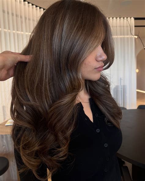 6. Mocha Brown with Caramel Veiling (Medium Brown Hair with Highlights ...