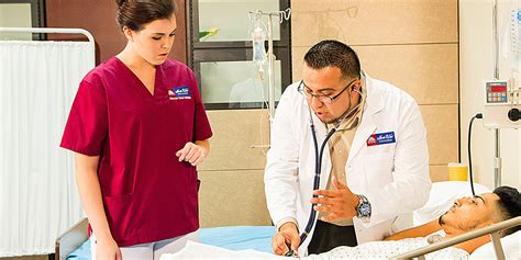 Manual Testing Life Cycle 的图像结果