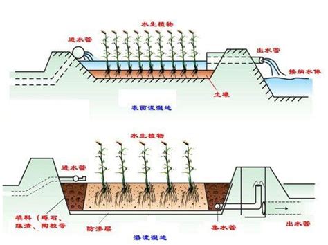 一种高落差可调出水复合潜流人工湿地的制作方法