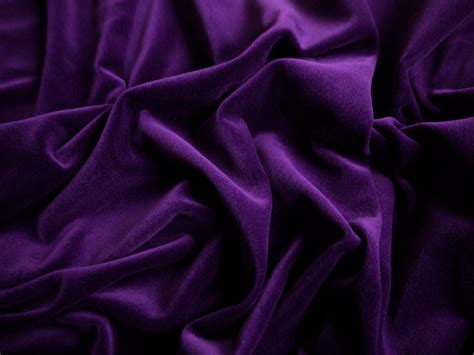 Royal Purple Cotton Velvet