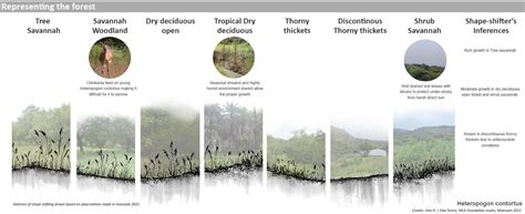 Ready set Adapt...! | CEPT - Portfolio