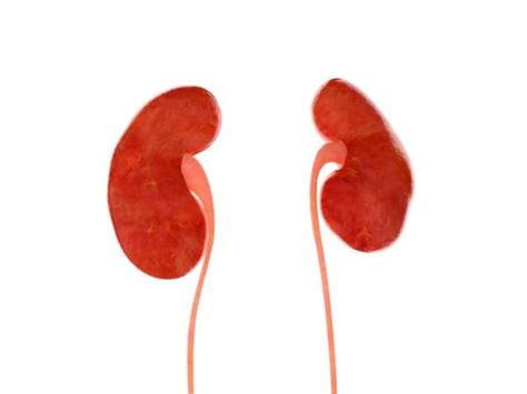 Home Remedies to Dissolve Kidney Stones Naturally | Healthy Living