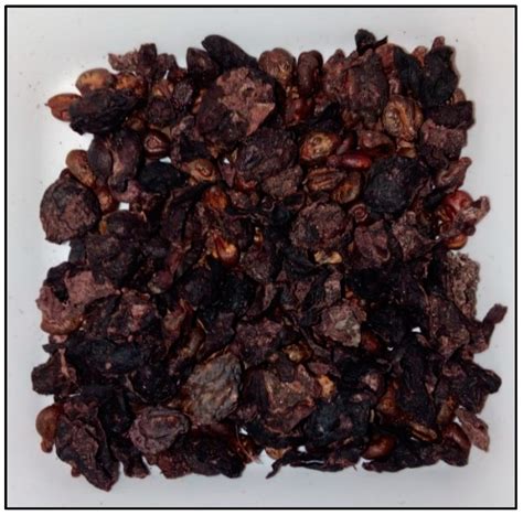 The “End Life” of the Grape Pomace Waste Become the New Beginning: The ...