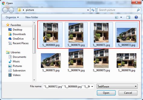 Multiple File Upload PHP 的图像结果