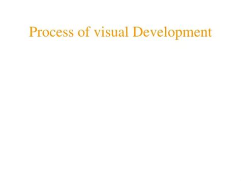 Image result for Visual Function Development Time