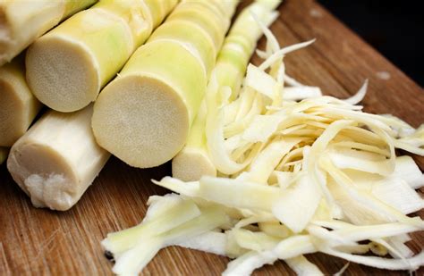 Bamboo Shoots Plant