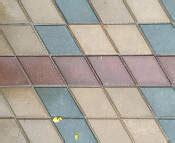 Paver Blocks Manufacturers Delhi, Paver Block Companies, Price Delhi