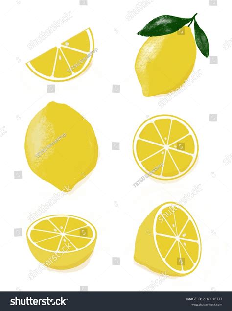 Image result for Lemon Drawing Colored