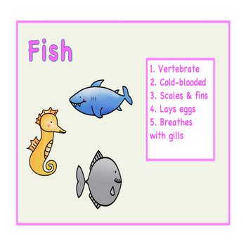 Image result for 11 Study of Animal Jr Tutorial