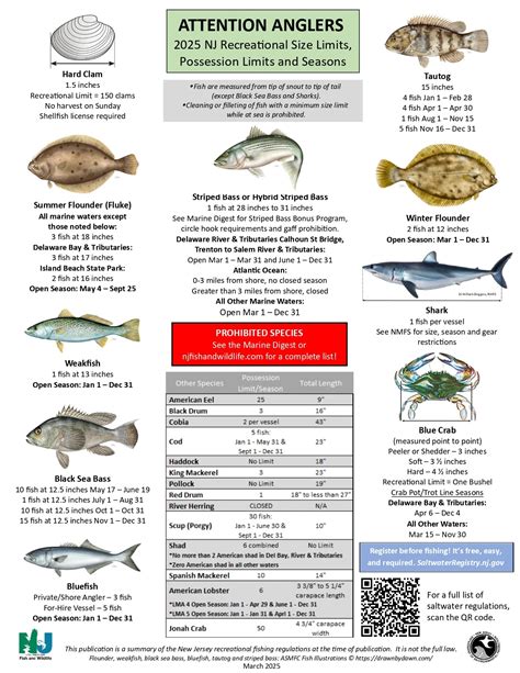 2025 NJ Saltwater Fishing Regulations | NJ Saltwater Fisherman