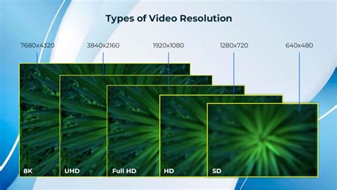 Image result for S-Video Max Resolution