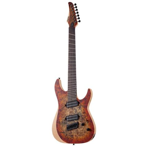 Buy Schecter Guitars at Best Price in India | Bajaao