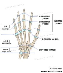Image result for Volume Mass Problem