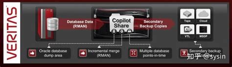 NetBackup Terminology 的图像结果