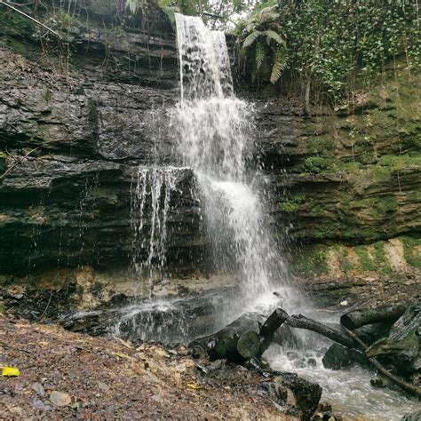 OLD ROAR GILL (2026) All You Need to Know BEFORE You Go (with Photos ...