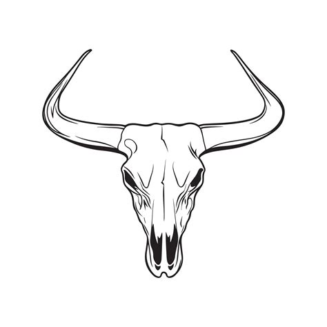 Stunning Longhorn Cow Skull Line Drawing 54985170 Vector Art at Vecteezy