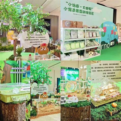 宠博会送什么礼物最新素材