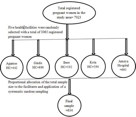 Image result for Population and Sampling Procedure Example