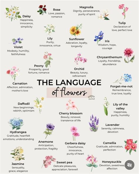 Pin by Maria Panagakos on Flora and Gardens | Flower meanings, Language ...