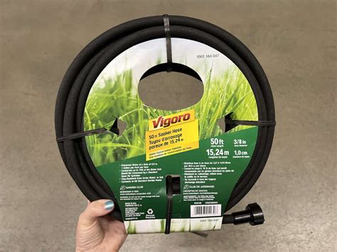 How to use a soaker hose 💧🌱 Mastering efficient garden hydration