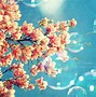 Image result for Cute Spring Wallpaper with Quotes