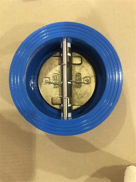 Image result for Wafer Type Spring Loaded Check Valve