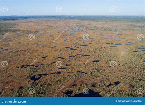 Swamp Aerial View 的图像结果