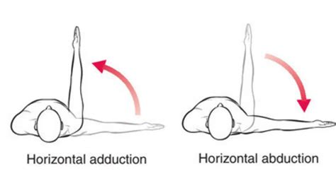 Abduction And Adduction
