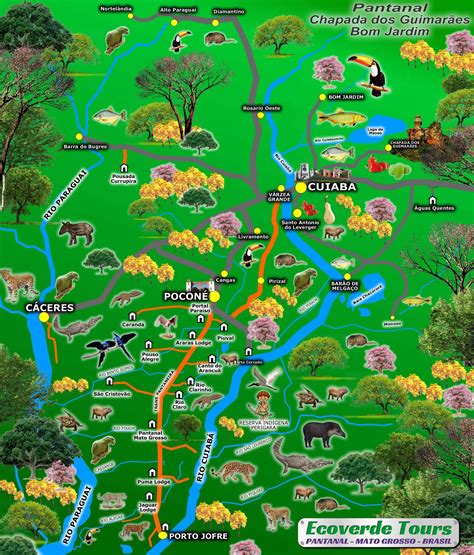 Qué ver y cómo llegar al Pantanal de Brasil - Con arena en la mochila