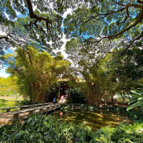MOANALUA GARDENS (2026) All You Need to Know BEFORE You Go (with Photos ...