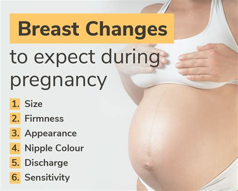 Post Pregnancy Boobs