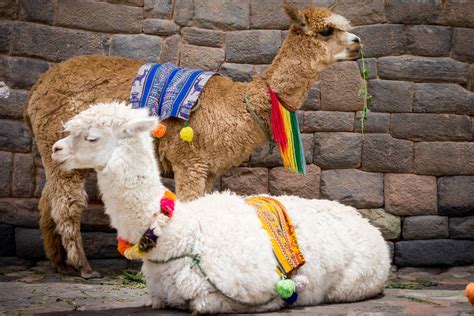 KSHE 95 Listen Live - 94.7 MHz FM, Crestwood, United States | Online ...