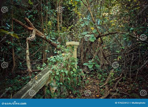 Creepy Ruined and Overgrown by Plants Interior of Old Mansion. Life ...