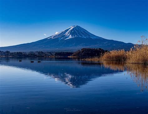 富士山 的图像结果