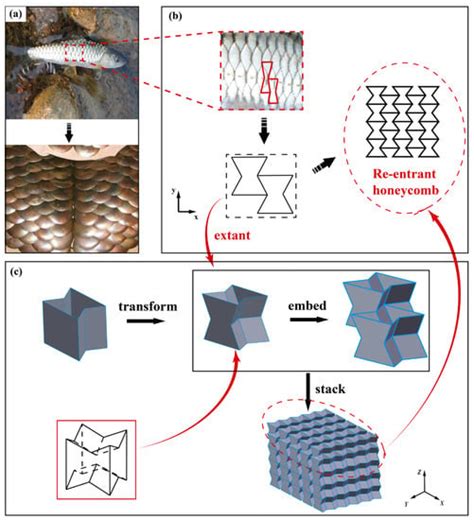 Low-Velocity Impact Resistance of 3D Re-Entrant Honeycomb Sandwich ...