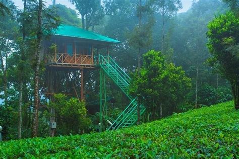 MATTUPETTY DAM - All You Need to Know BEFORE You Go 2026 (with Photos ...